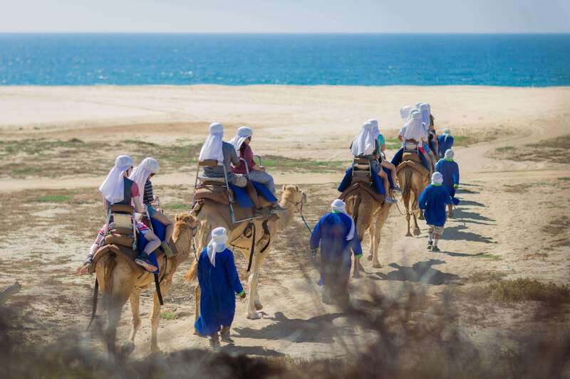 Cabo San Lucas: Camel Safari Tour with Lunch and Tequila - Why this Cabo camel safari is different