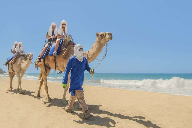 Cabo San Lucas: Camel Safari Tour with Lunch and Tequila - A short hike through Baja desert terrain