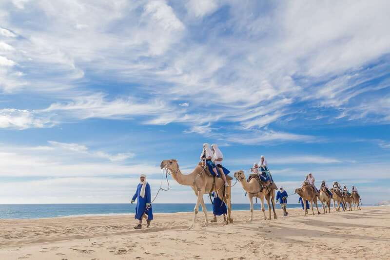 Cabo San Lucas: Camel Safari Tour with Lunch and Tequila - Getting there from Cabo or San José del Cabo