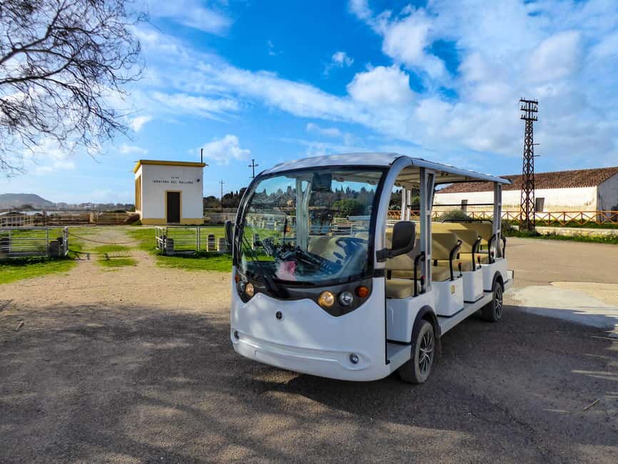 Cagliari: EcoSafari Flamingos Tour in Molentargius Park - Why Molentargius is worth your time in Cagliari
