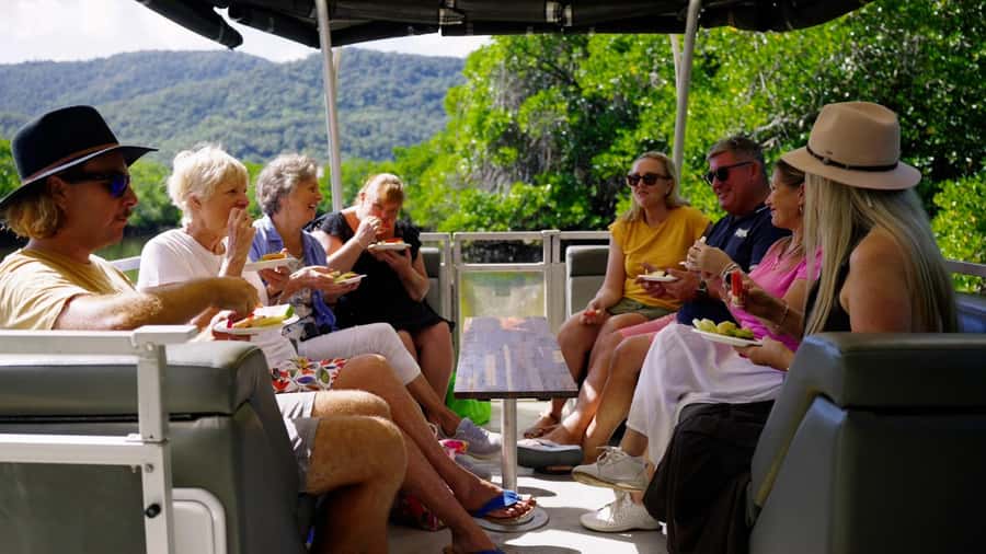Cairns: Sightseeing River Boat Safari with Soft Drinks - Leaving the skyline for the mangroves