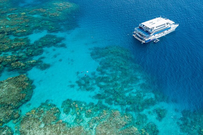Cairns Trinity Inlet Sightseeing Safari - Who will enjoy this cruise most?