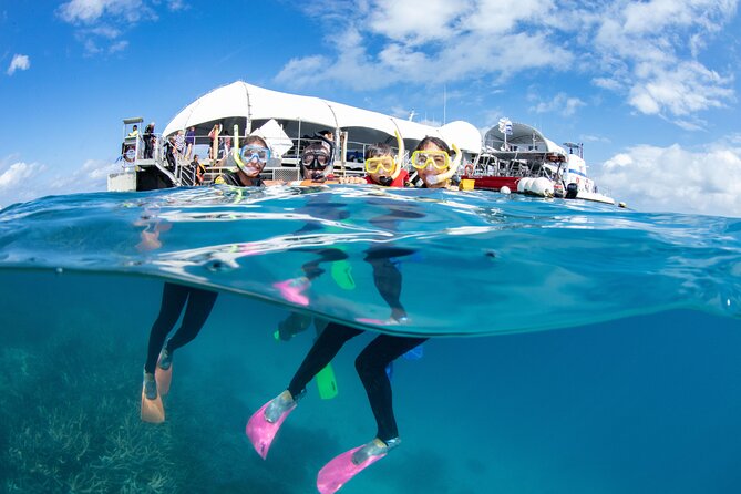 Cairns Trinity Inlet Sightseeing Safari - Practical details for a smooth outing