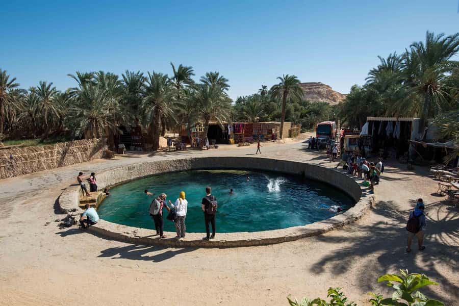 Cairo: 3-Day Siwa Oasis Tour, Safari, Camp & Historical Site - The long road from Cairo to the Western Desert