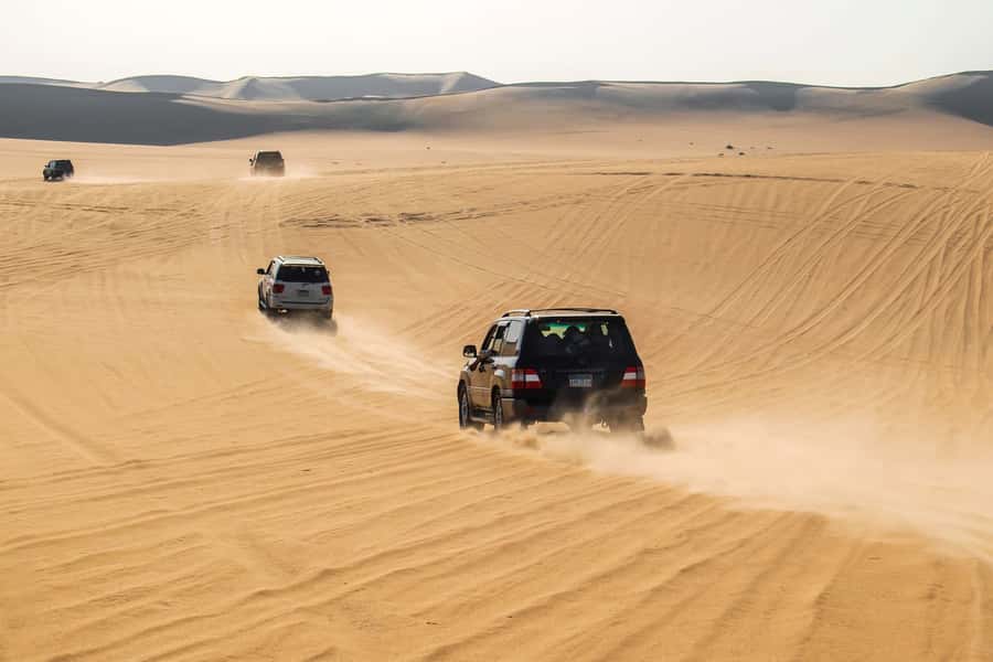 Cairo: 3-Day Siwa Oasis Tour, Safari, Camp & Historical Site - What the $361 price really covers