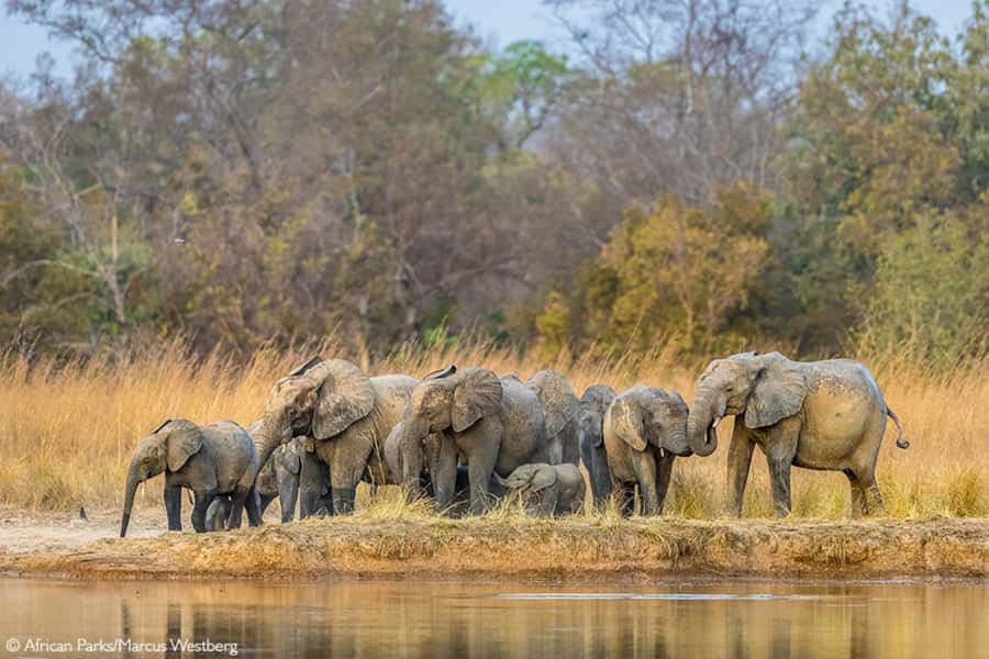 Cairo: Guided Day Trip to Africa Safari Park with Lunch - Practical advice before you go