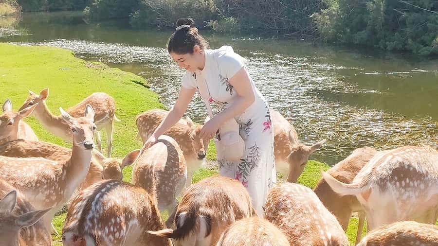 Cairo: Guided Day Trip to Africa Safari Park with Lunch - Reptiles and smaller creatures