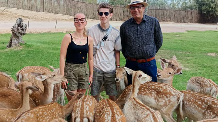 Cairo: Guided Day Trip to Africa Safari Park with Lunch - Optional games and time beyond the animals
