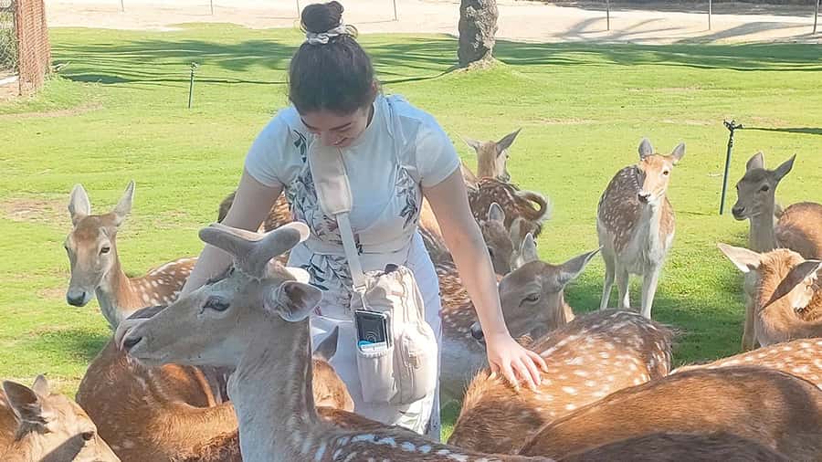 Cairo: Guided Day Trip to Africa Safari Park with Lunch - The guide can shape the entire day