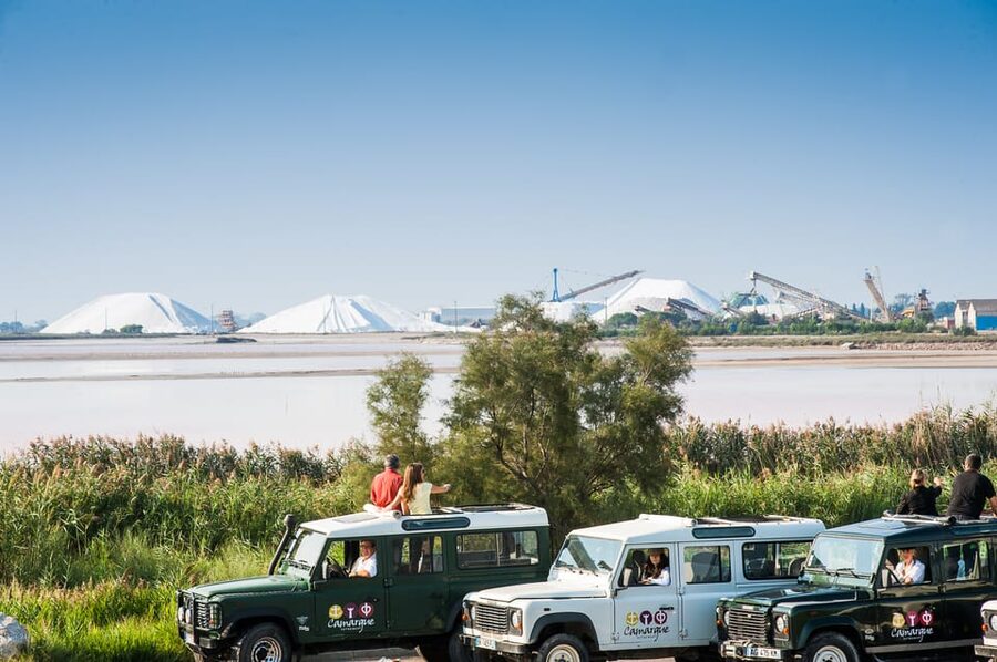 Camargue: Half-Day 4x4 Guided Safari Adventure - Who should book this Camargue safari?