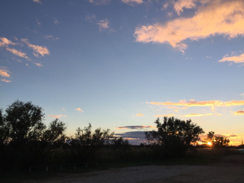 Camargue: Safari from Saintes-Maries-de-la-Mer - At the Bull Farm