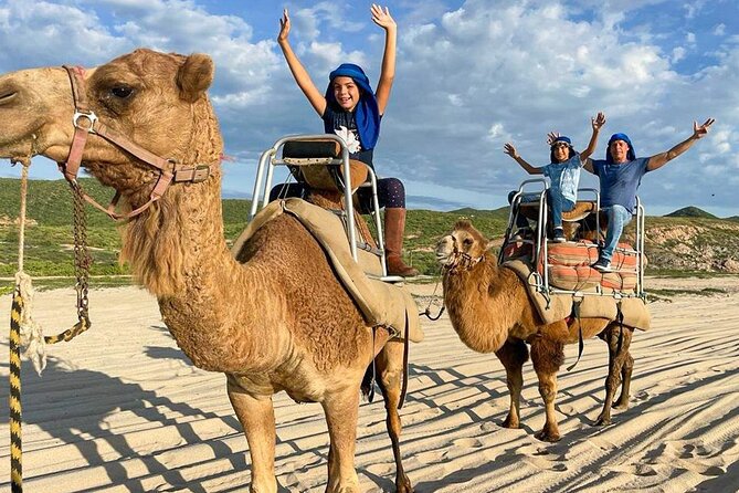Camel Encounter and Safari Ride with Lunch and Alcohol Tasting - Why ride a camel in Cabo?