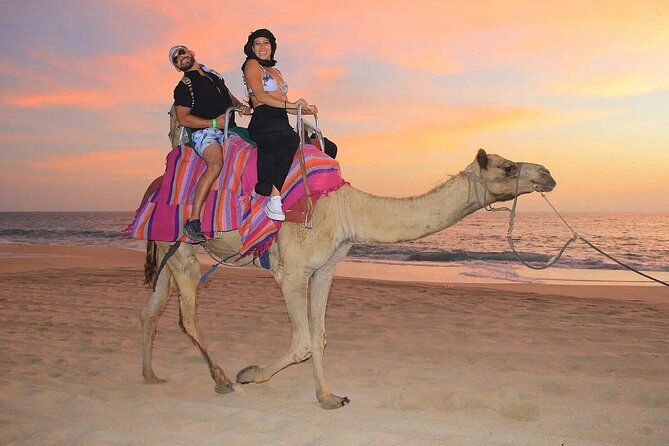 Camel Encounter and Safari Ride with Lunch and Alcohol Tasting - Meeting the camels before the ride