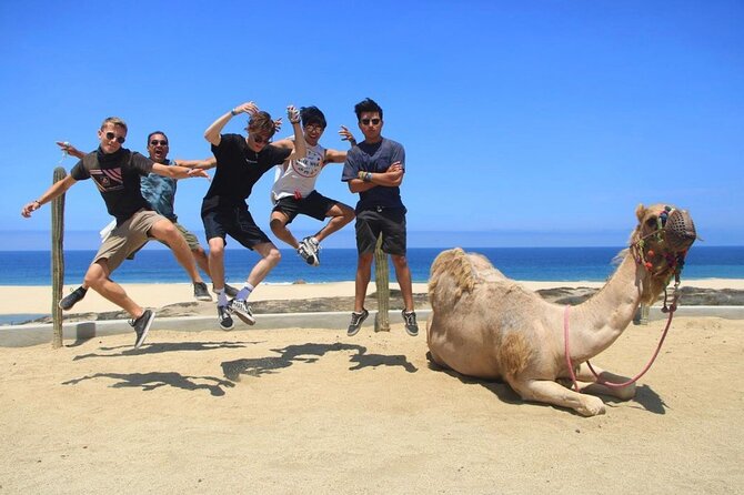 Camel Encounter and Safari Ride with Lunch and Alcohol Tasting - The short ride along the Pacific beach