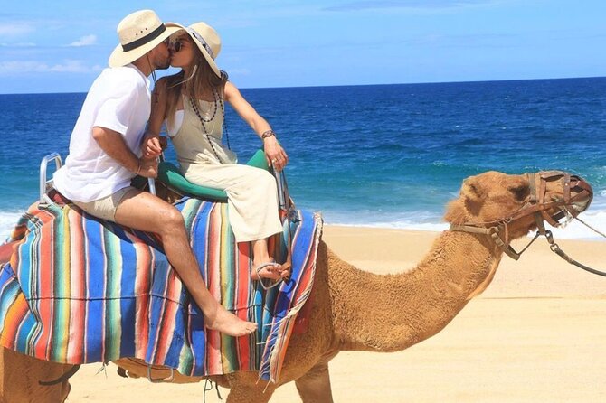 Camel Encounter and Safari Ride with Lunch and Alcohol Tasting - Tacos, fajitas, soda, and water