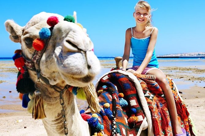 Camel Encounter and Safari Ride with Lunch and Alcohol Tasting - The real cost: $95 plus the park fee
