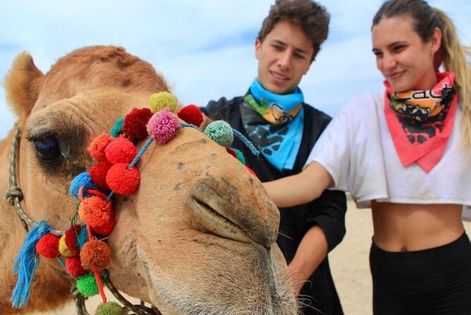 Camel Encounter and Safari Ride with Lunch and Alcohol Tasting - Getting to the Migrino beach property