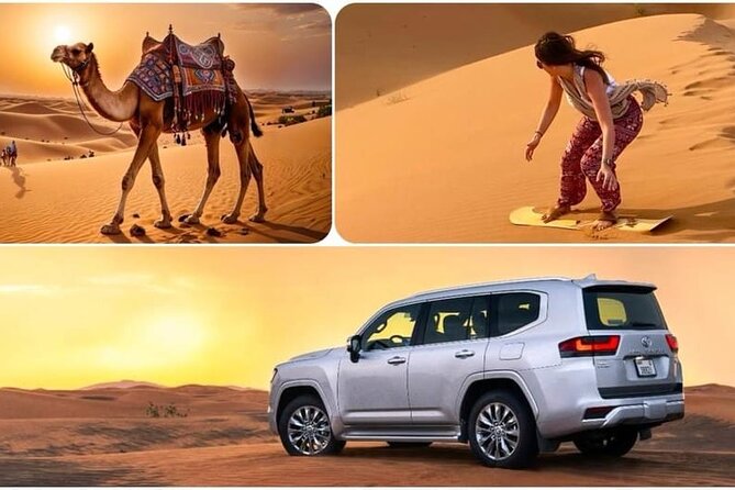 Camel Safari in Desert with Pickup and Drop off in Doha - What this Doha camel safari is really about