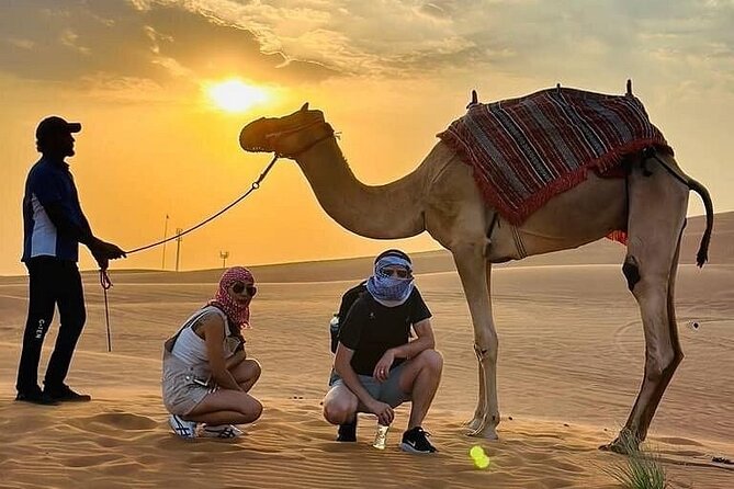 Camel Safari in Desert with Pickup and Drop off in Doha - Guide quality can shape the whole hour