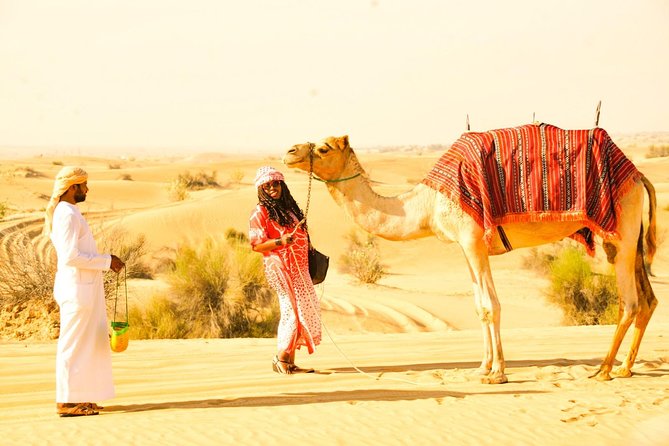 Camel Trekking and Morning Safari with Sand Boarding - What makes this morning safari worth your time