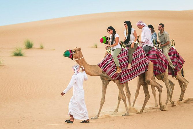 Camel Trekking and Morning Safari with Sand Boarding - A four-hour morning in the Dubai desert