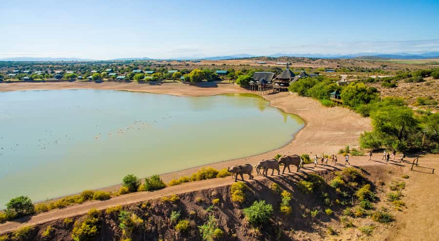 Cape Town: 2-Day Wildlife Tour with Safaris and Luxury Stay - What you may see at Botlierskop
