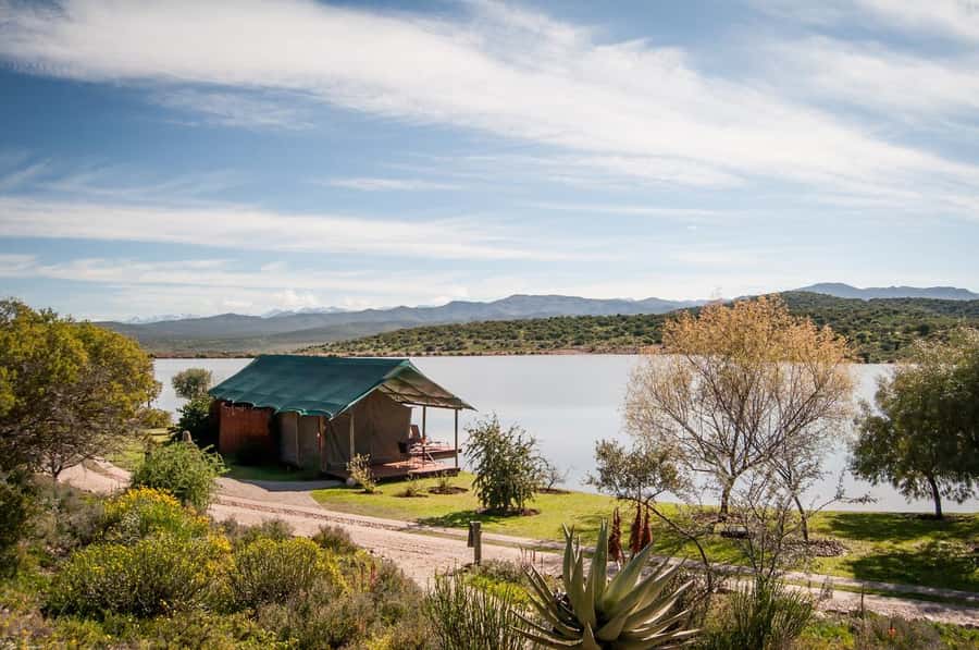 Cape Town: 2-Day Wildlife Tour with Safaris and Luxury Stay - The optional rescued-elephant visit