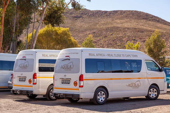 Cape Town Aquila Afternoon Safari with transport and lunch - Welcome drink and lunch at Aquila