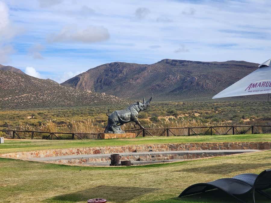 Cape Town big five safari with transport lunch Excl park fee - What the conservation message adds