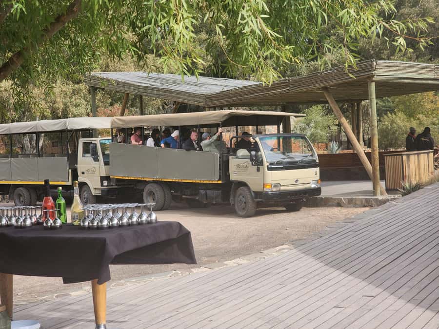 Cape Town big five safari with transport lunch Excl park fee - Booking flexibility and accessibility