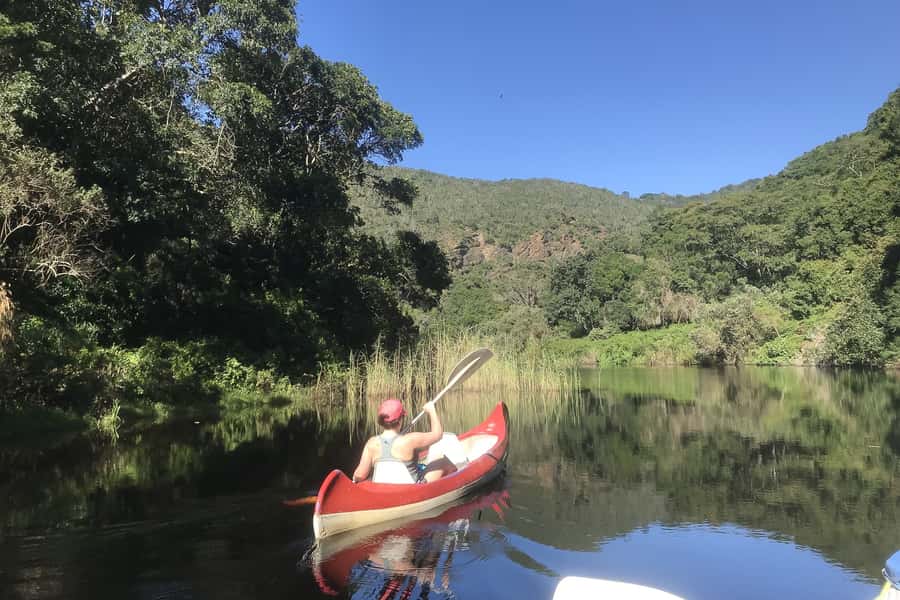 Cape Town: Garden Route and Addo Elephant Park 6-Day Safari - Why this six-day route works