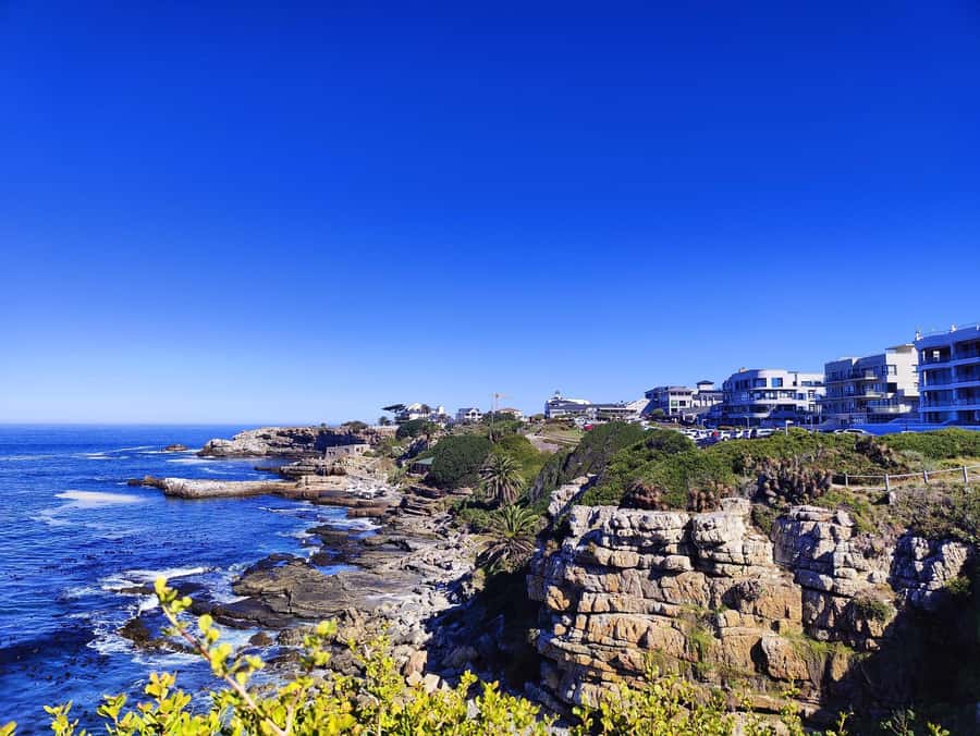 Cape Town: Garden Route and Addo Elephant Park 6-Day Safari - Day 3: paddling through Wilderness National Park