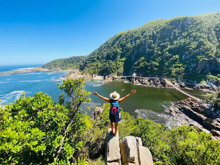 Cape Town: Garden Route and Addo Elephant Park 6-Day Safari - Day 5: elephants and the Addo safari
