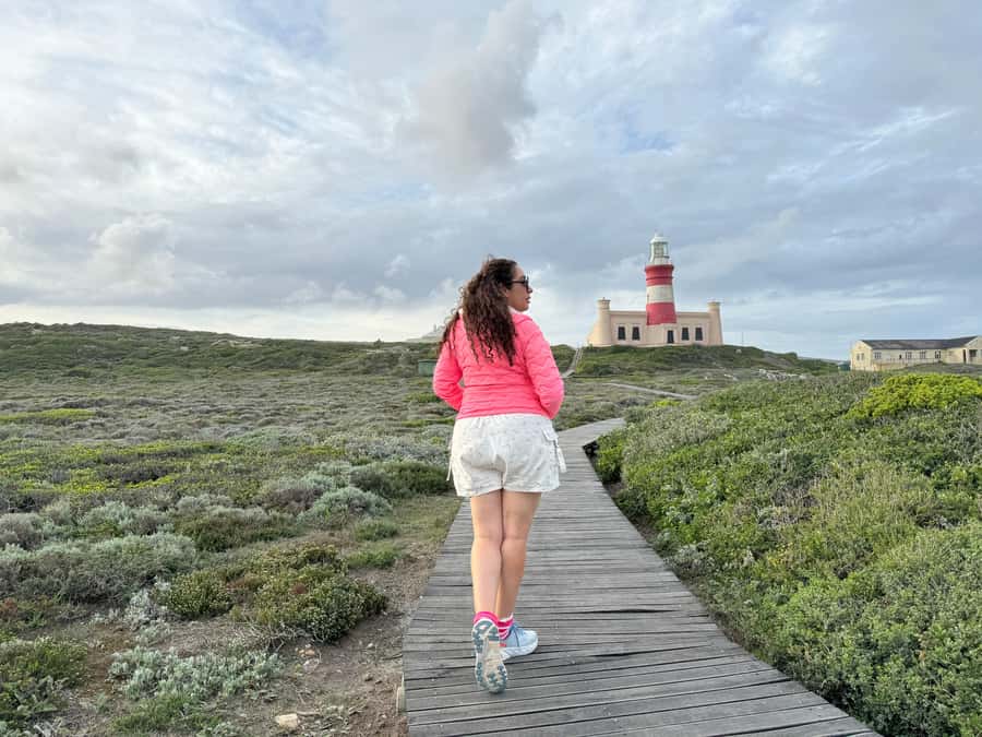 Cape Town: Garden Route and Addo Elephant Park 6-Day Safari - Day 6: Mossel Bay and the final coast road