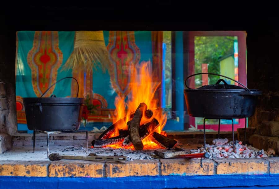Cape Town: Garden Route and Addo Elephant Park 6-Day Safari - Accommodation, meals, and the everyday details