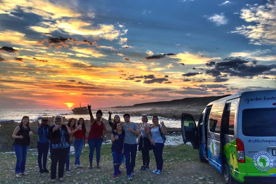 Cape Town: Garden Route and Addo Elephant Park 6-Day Safari - Day 1: penguins, Hermanus, and Africa’s southern tip