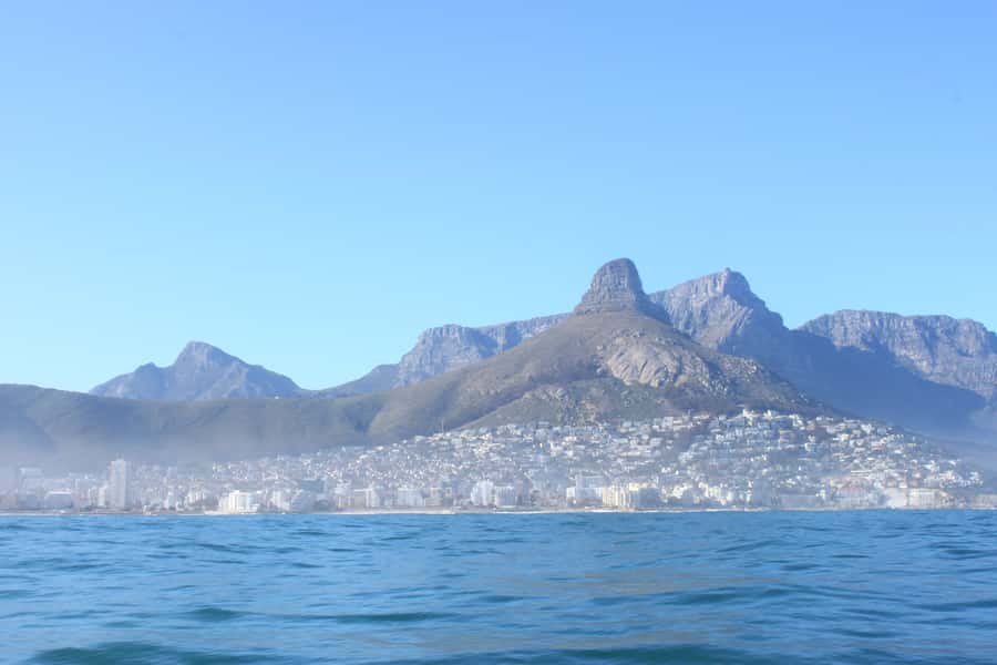 Cape Town: Marine Big 5 Ocean Safari from V&A Waterfront - Comfort, refreshments, and practical details