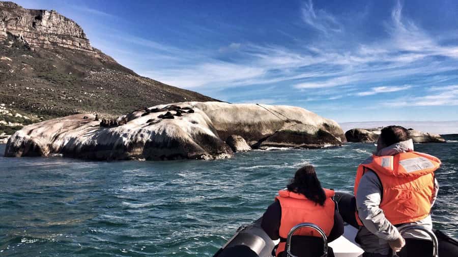 Cape Town: Marine Big 5 Ocean Safari from V&A Waterfront - Who will enjoy this ocean safari most?