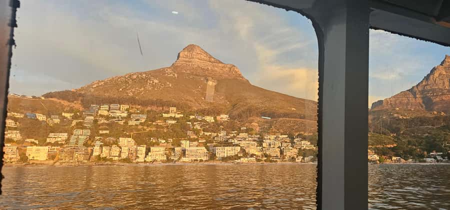 Cape Town: Ocean Safari 1 Hour - Key points to know before booking