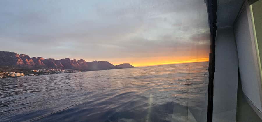 Cape Town: Ocean Safari 1 Hour - Booking advice for a better hour