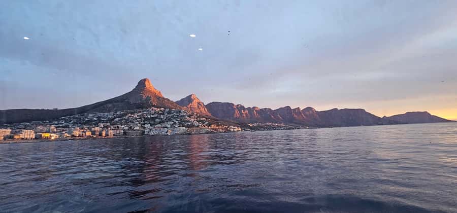 Cape Town: Ocean Safari 1 Hour - Seasonal whales and the luck factor