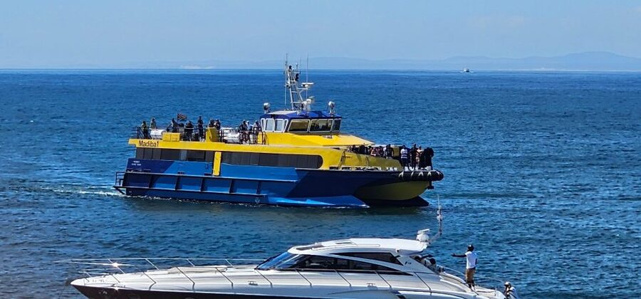 Cape Town: Ocean Safari 1 Hour - What the guide adds to the hour