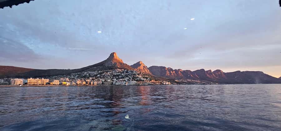 Cape Town: Ocean Safari 1 Hour - How the one-hour timing affects value