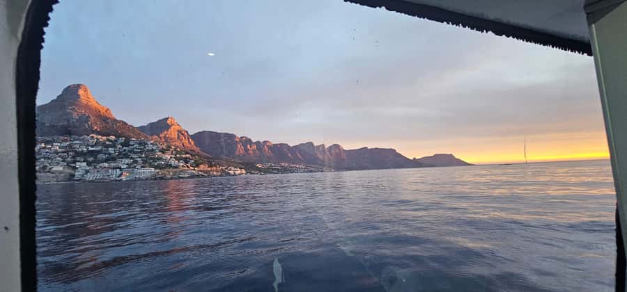 Cape Town: Ocean Safari 1 Hour - Weather, comfort, and practical limits
