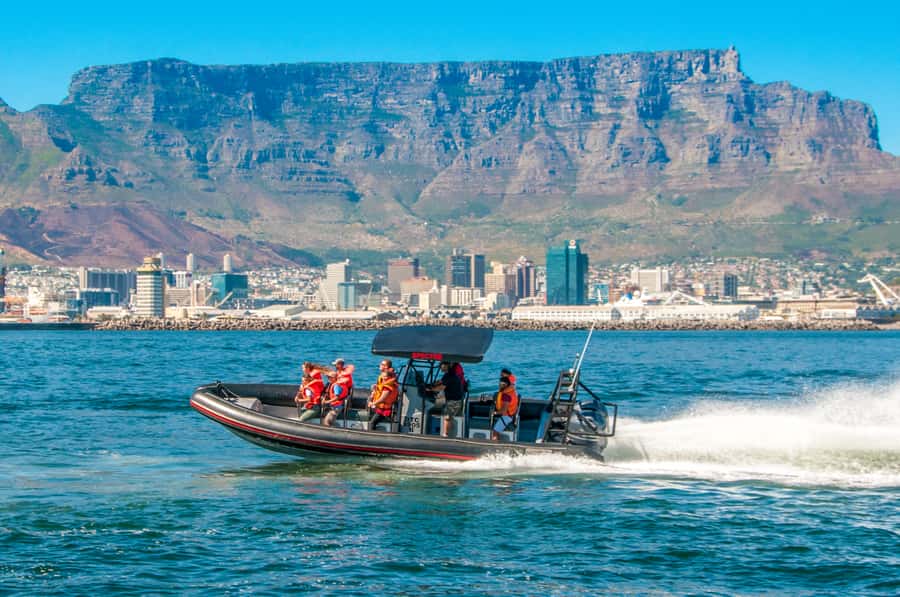 Cape Town Ocean Safari: Speed Boat Adventure in Table Bay - Key points before you book