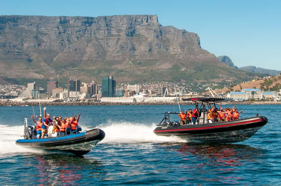 Cape Town Ocean Safari: Speed Boat Adventure in Table Bay - Starting at Quay 5 in the V&A Waterfront