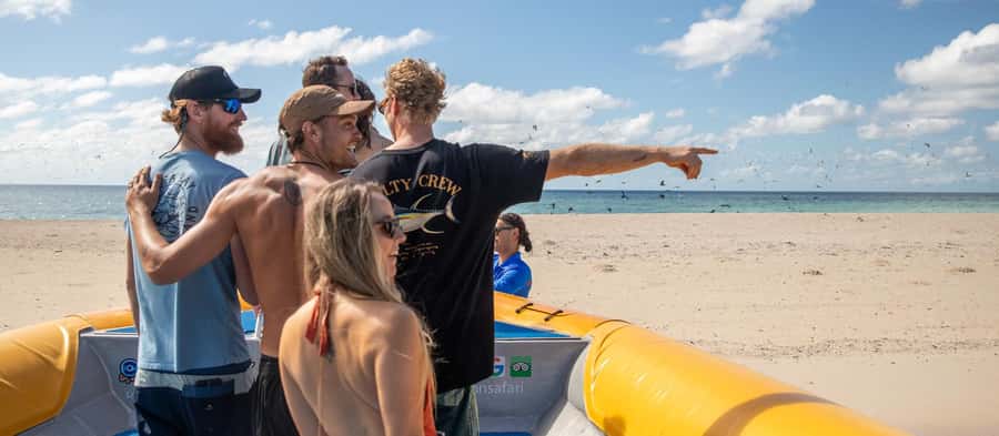 Cape Tribulation Ocean Safari - Great Barrier Reef Adventure - Who should choose this tour?