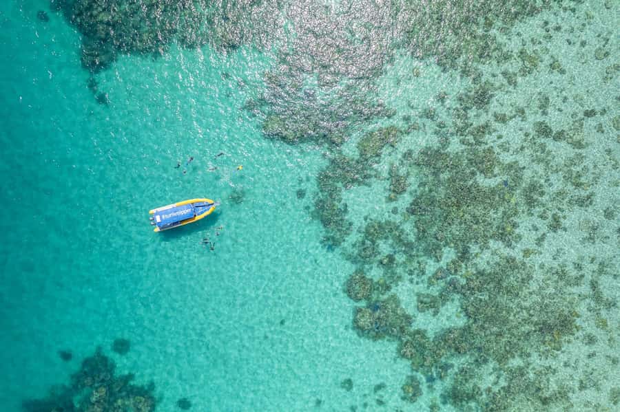 Cape Tribulation Ocean Safari - Great Barrier Reef Adventure - Why Cape Tribulation is a special reef base