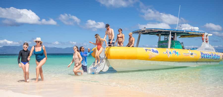 Cape Tribulation Ocean Safari - Great Barrier Reef Adventure - Timing, weather, and the practical details