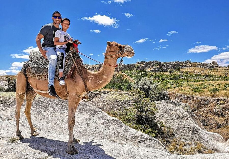Cappadocia: Camel Safari - Booking, cancellation, and timing tips